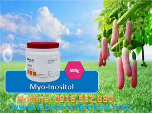 myo Inositol 99% Biobomei CAS 87-89-8 C6H12O6 Myo-inositol lọ 500g
